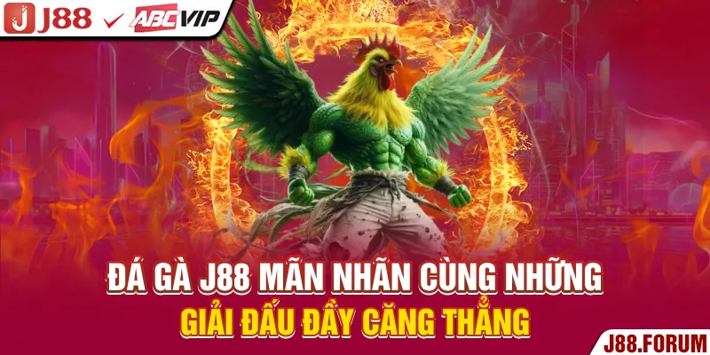 Đá Gà J88 - Mãn Nhãn Cùng Những Giải Đấu Đầy Căng Thẳng Đá gà J88